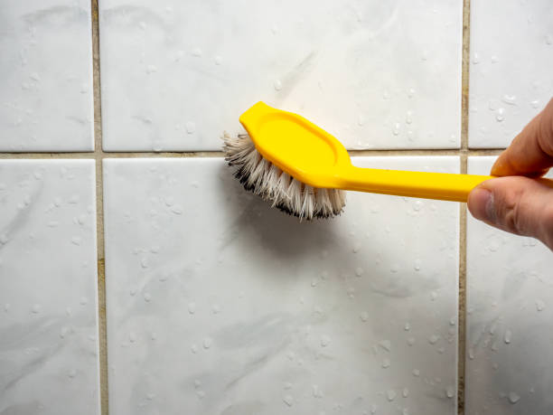 Best Black Mold Remediation in Palermo, NJ