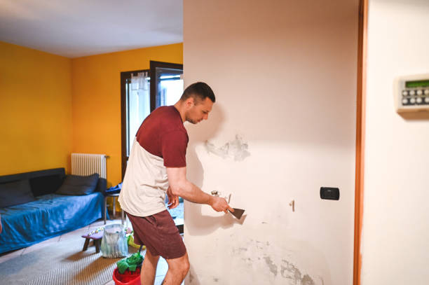 Best Residential Mold Remediation in Palermo, NJ